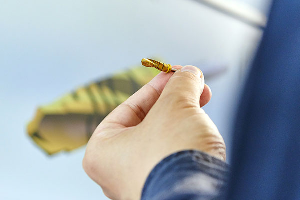 image of a screw in front of a computer